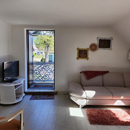 Ferienhaus Ani & Apartment Rustikal Patzig エクステリア 写真